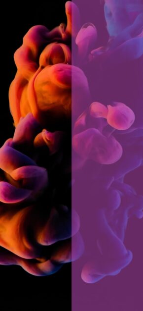 Shades of Ink | DUAL