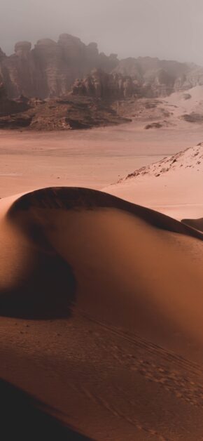 Dune