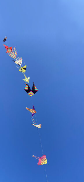 Colourful Kites