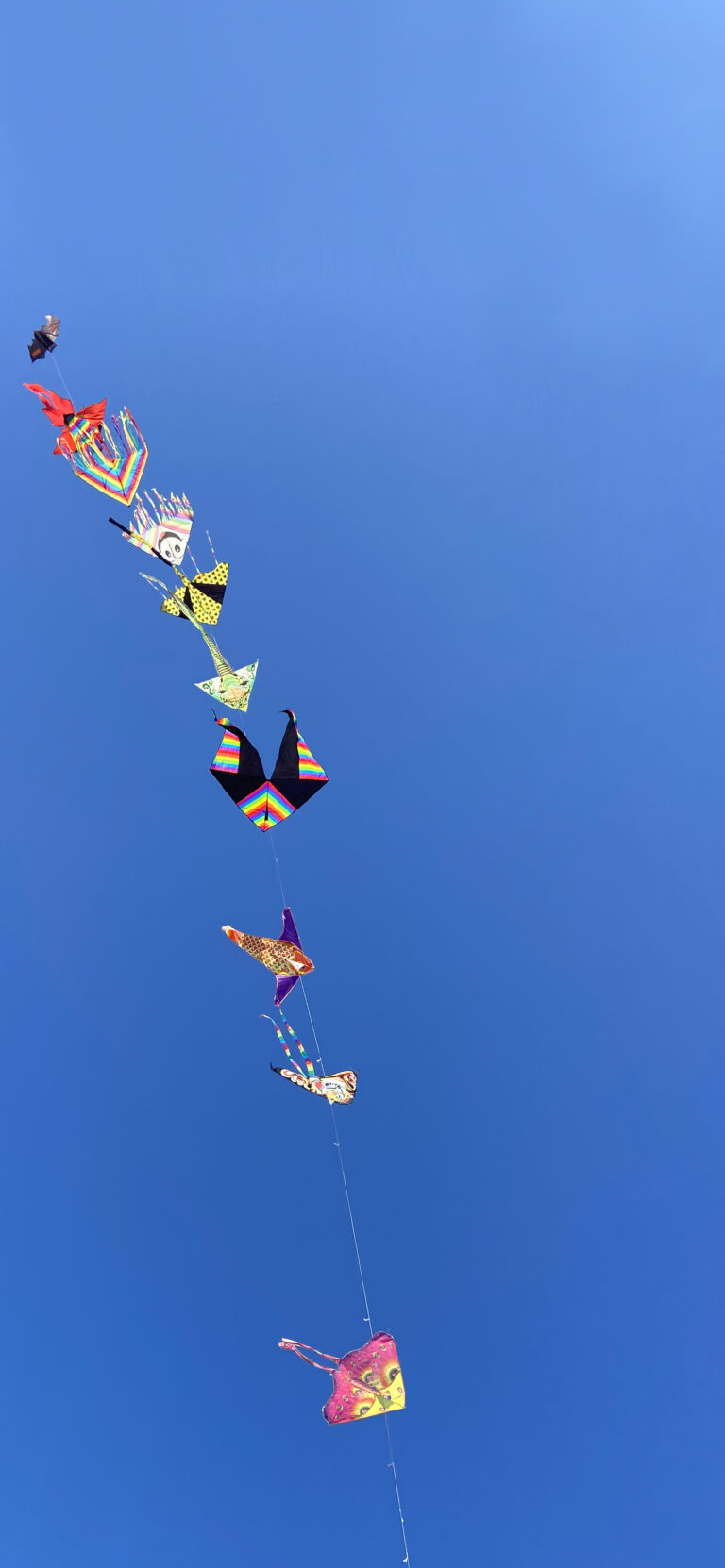 Default wallpaper of Colourful Kites