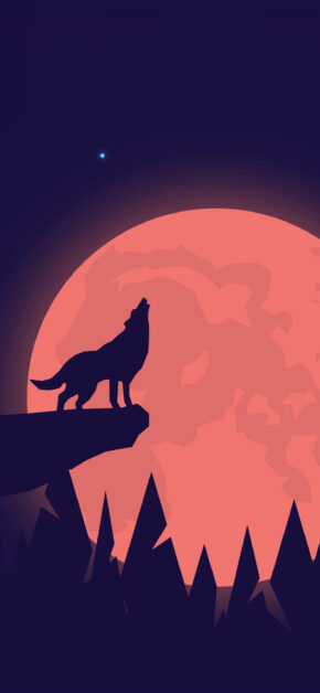 Lupo e Luna