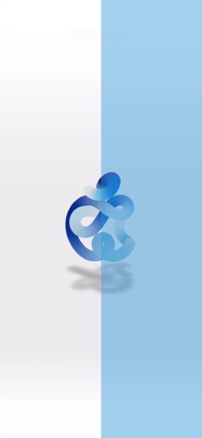 Time Flies | DUAL