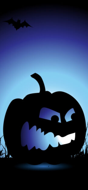 Blue Pumpkin