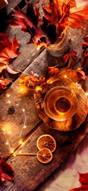 Autumn