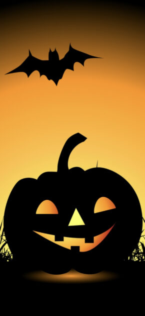 Orange Punpink