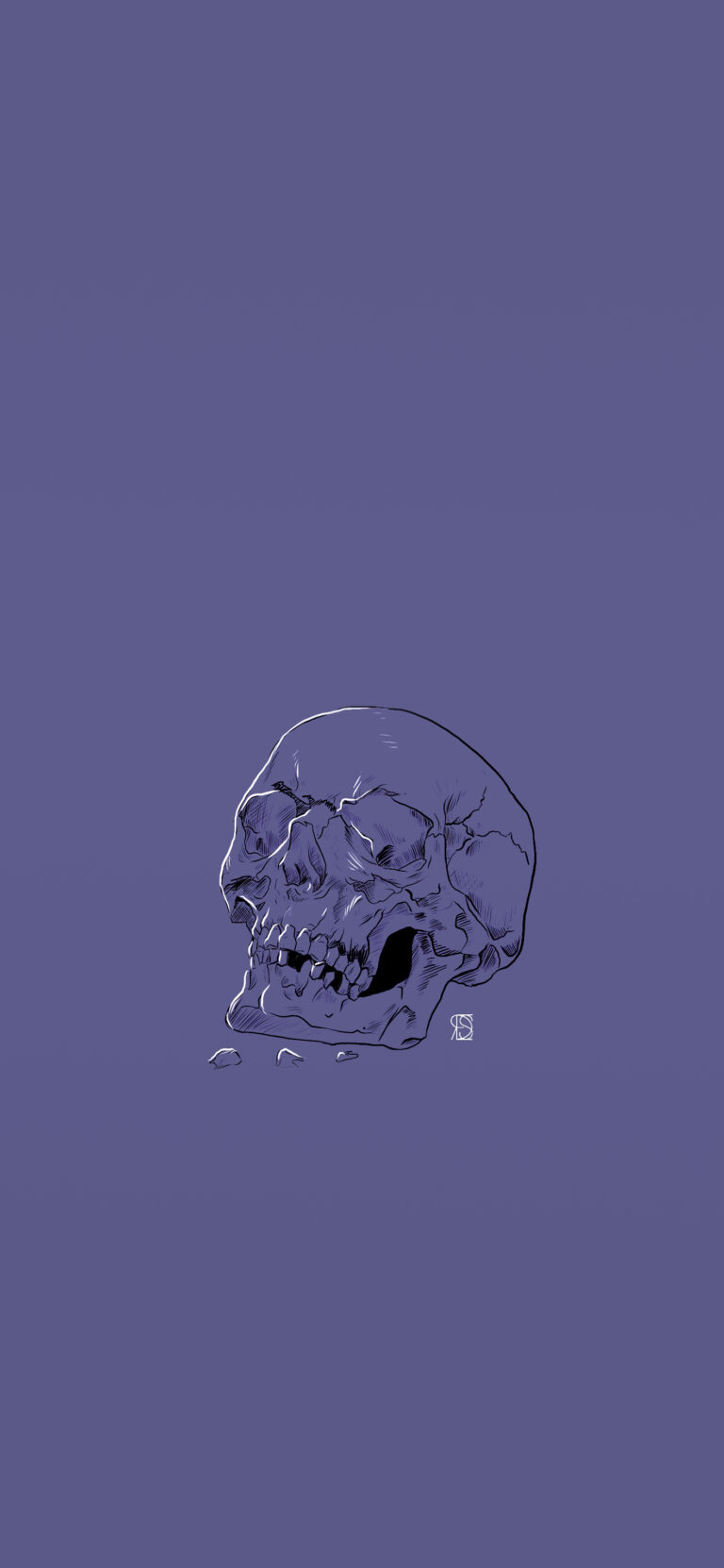 Default wallpaper of Skull