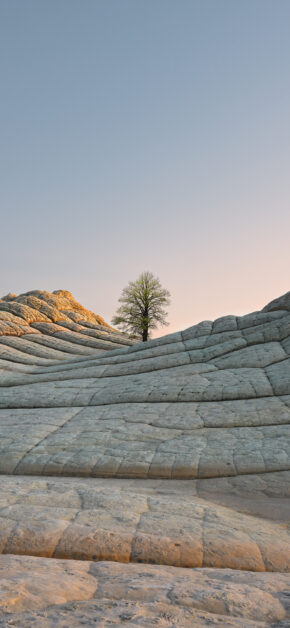 Desert Three Day – Official from iOS 14.2 | Stock Wallpaper