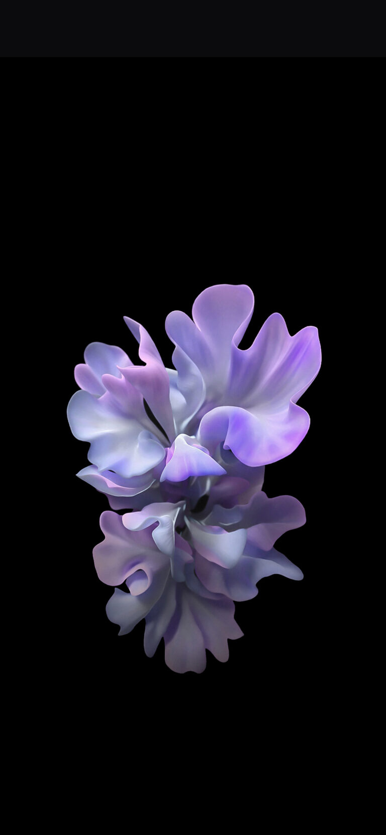 Default wallpaper of Flower in Dark