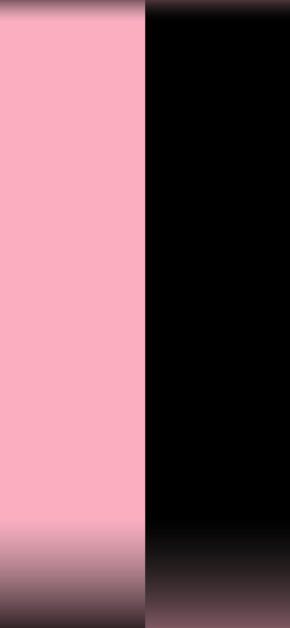 Black and Pink | DUAL