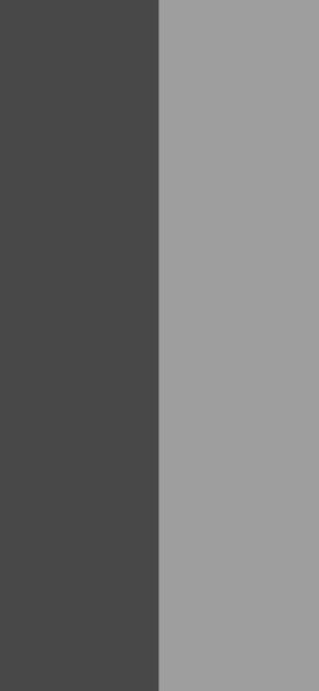 Shades Of Grey | DUAL