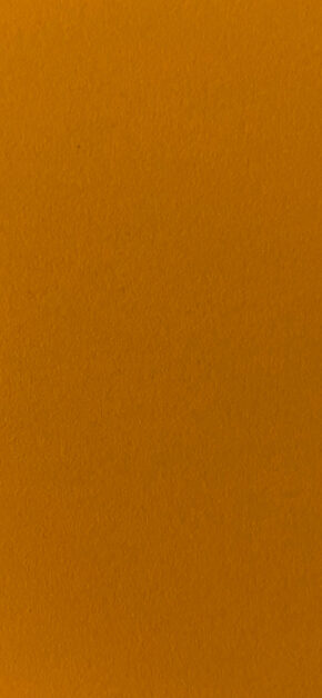 Orange Leather