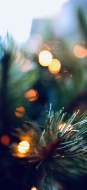 Christmas Spirit