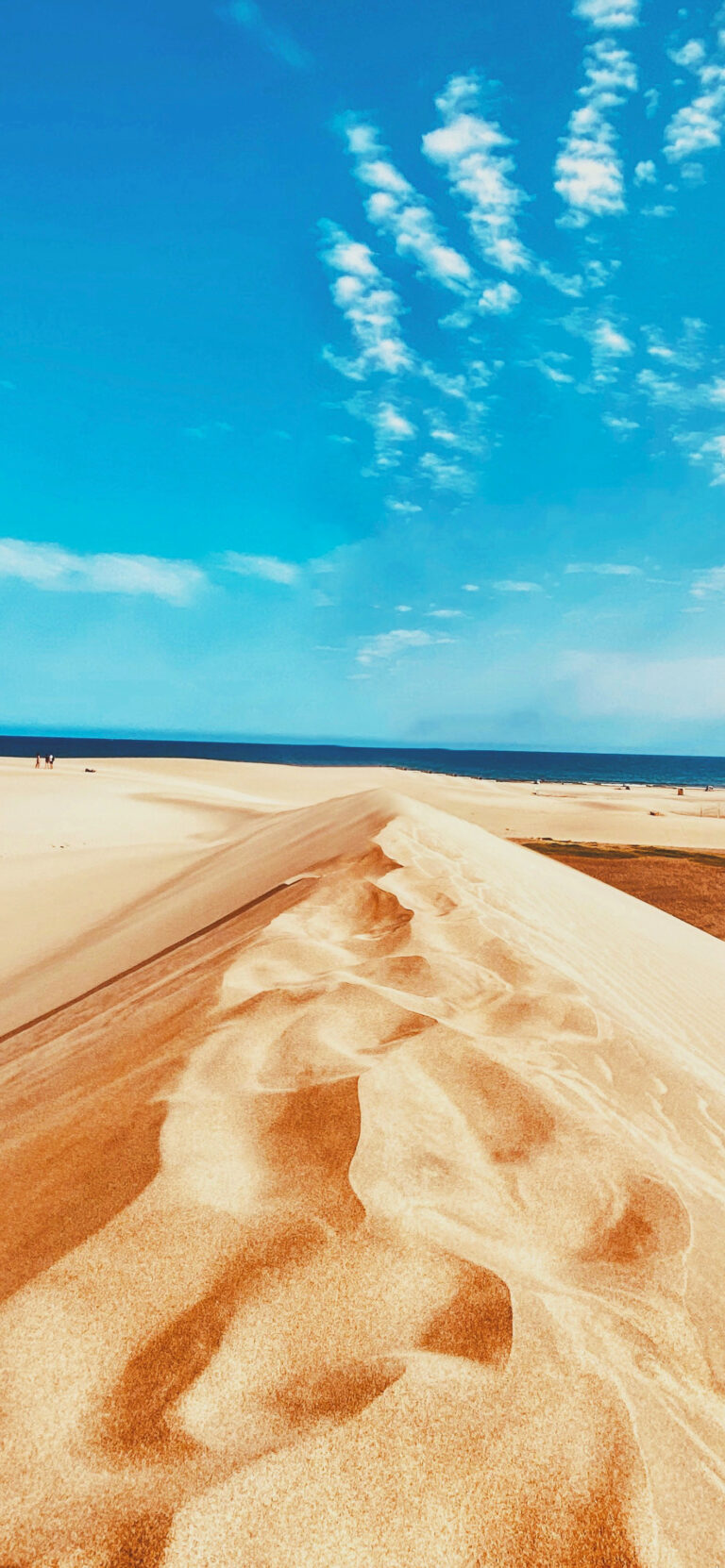 Default wallpaper of Beach Dunes