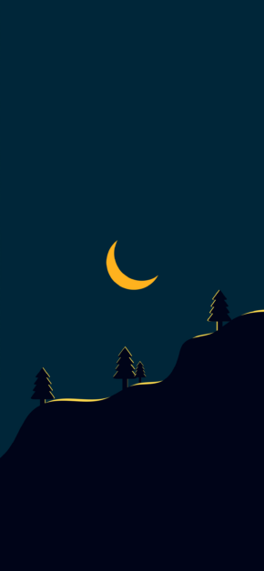 Moon Night
