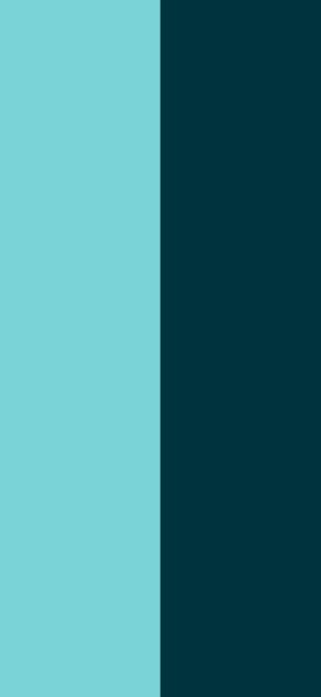 Blue and Light Blue | DUAL