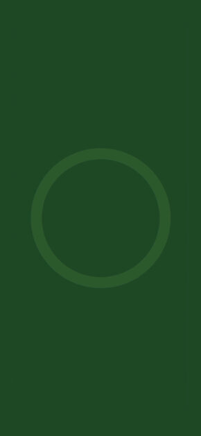 MagSafe Wallpaper – Green