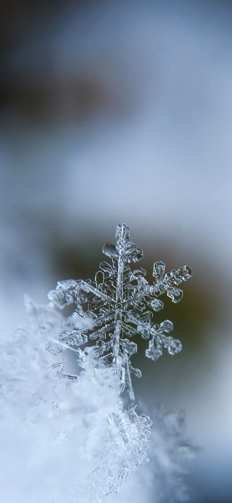 Default wallpaper of Snow Flake