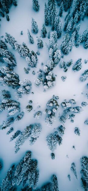 Winter Aerial View