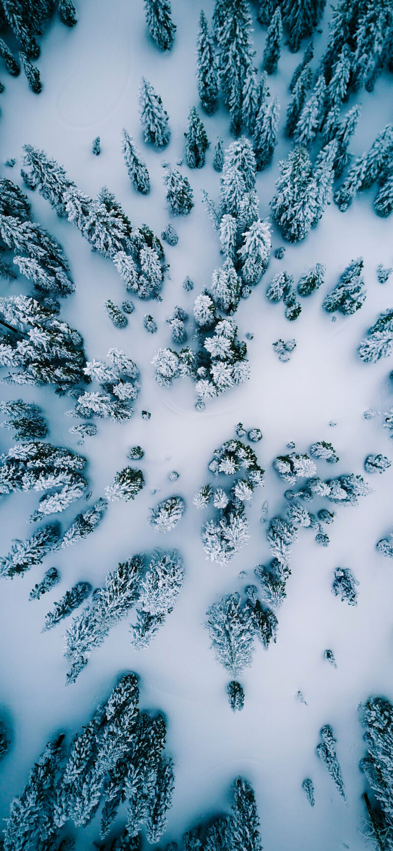 Default wallpaper of Winter Aerial View