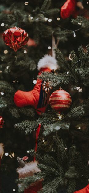 Christmas Three Red