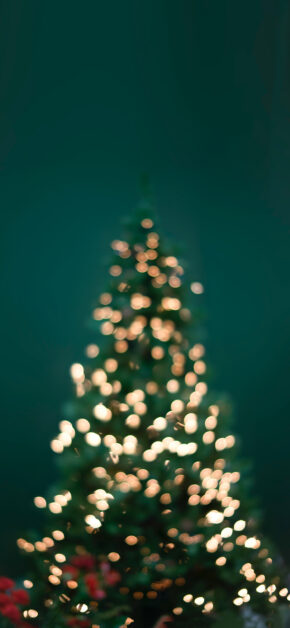 Christmas in Green
