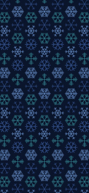 Merry Christmas, it’s Winter Time!