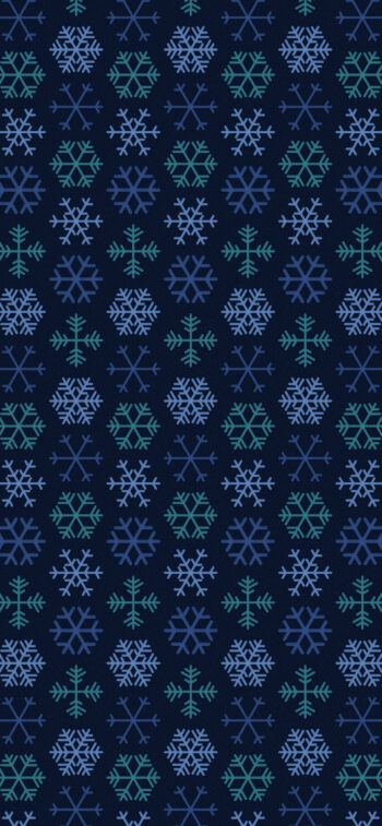 Merry Christmas, it's Winter Time!