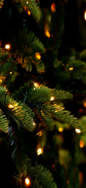 Merry Christmas and Happy New Year 2021 (HomeScreen)