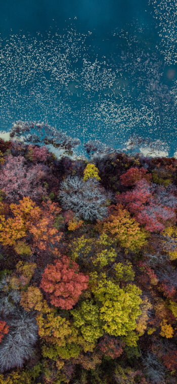 Bye Summer, Welcome Autumn