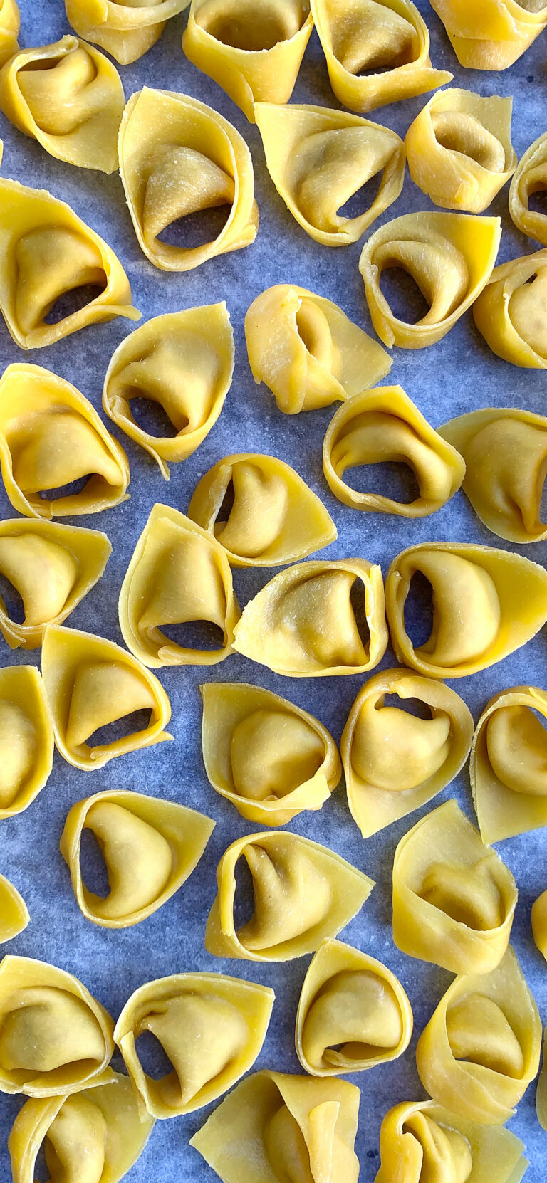 Default wallpaper of Tortellini