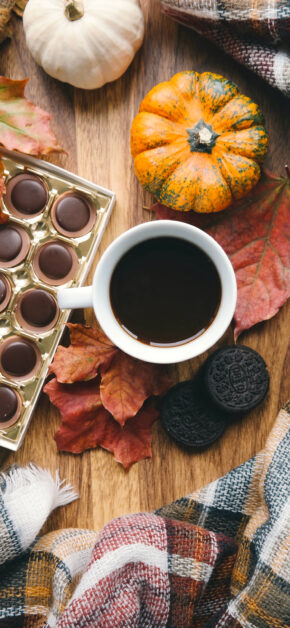 Autumn’s Mood
