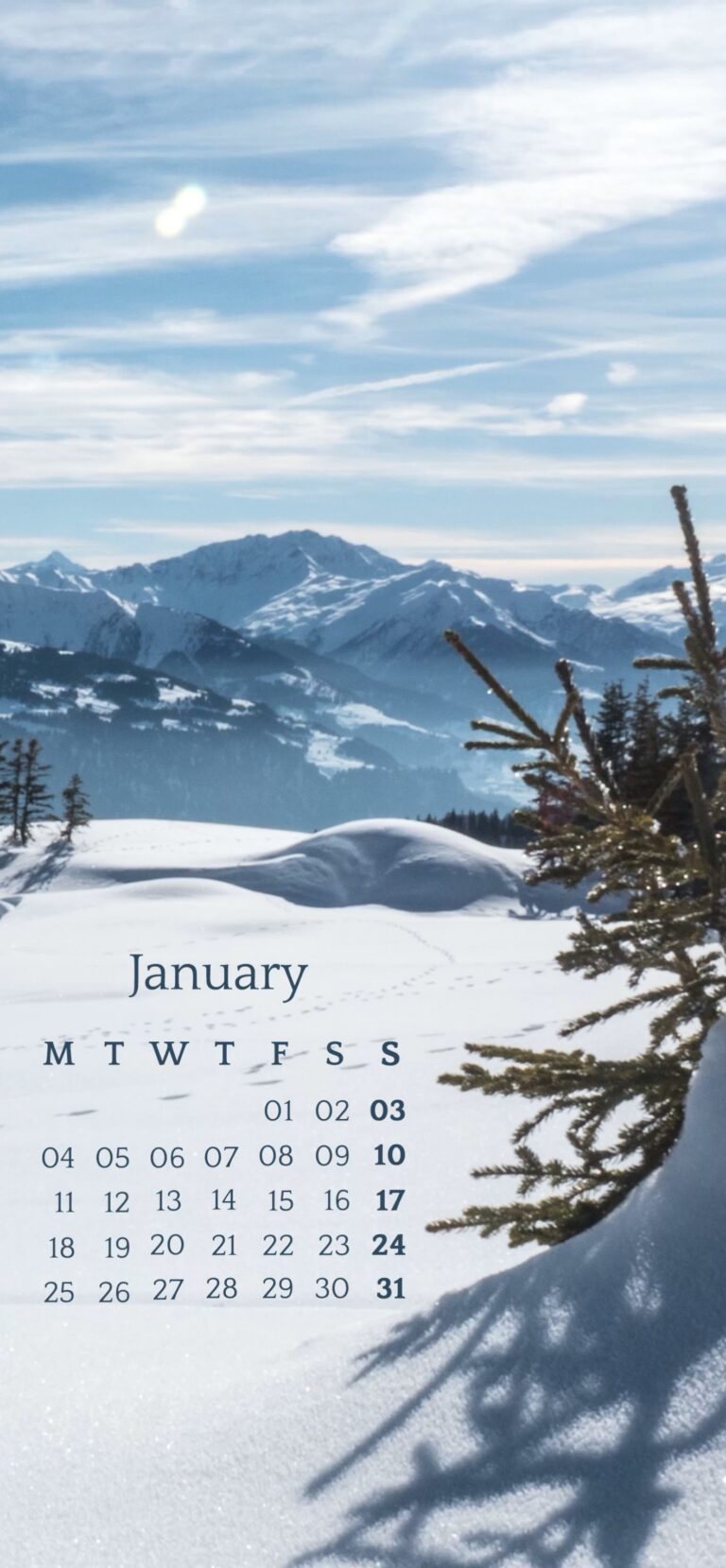 Default wallpaper of Calendar: January 2021 – #2 | LIVE Wallpaper