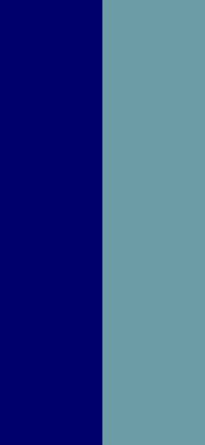 Blue DUAL