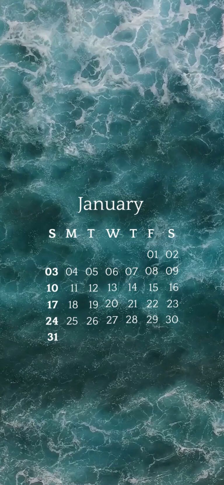 Default wallpaper of Calendar: January 2021 – #1 | LIVE Wallpaper