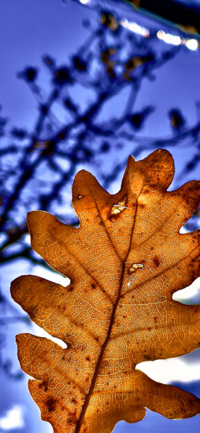 Autunno