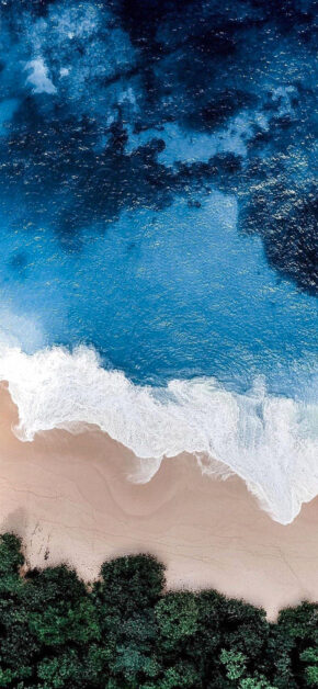 Forest-Beach-Sea