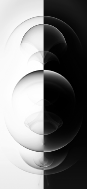 iPhone 12 Pro – Resonance Black and White | DUAL