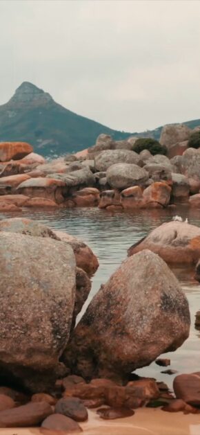 Beautiful Land | LIVE Wallpaper