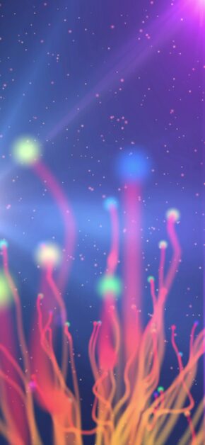 Anemone | LIVE Wallpaper