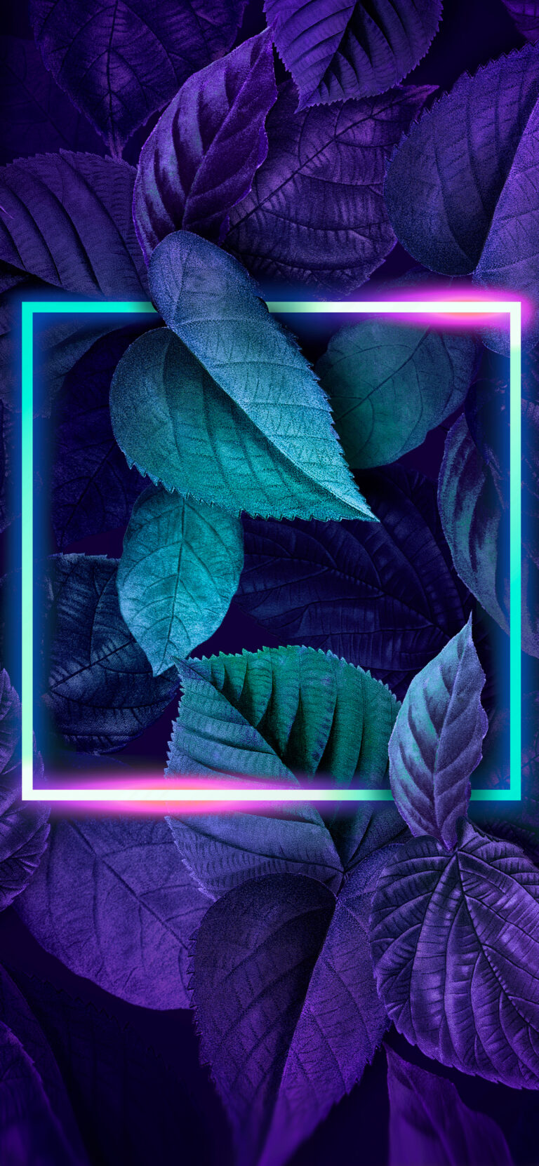 Default wallpaper of Leaves NEON