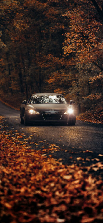 Audi in Autumn