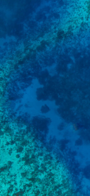 Ocean