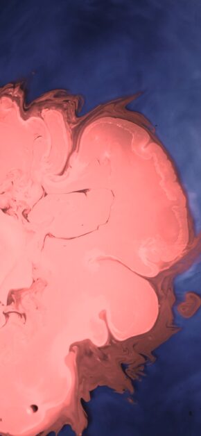 Pink Prevaling | LIVE Wallpaper