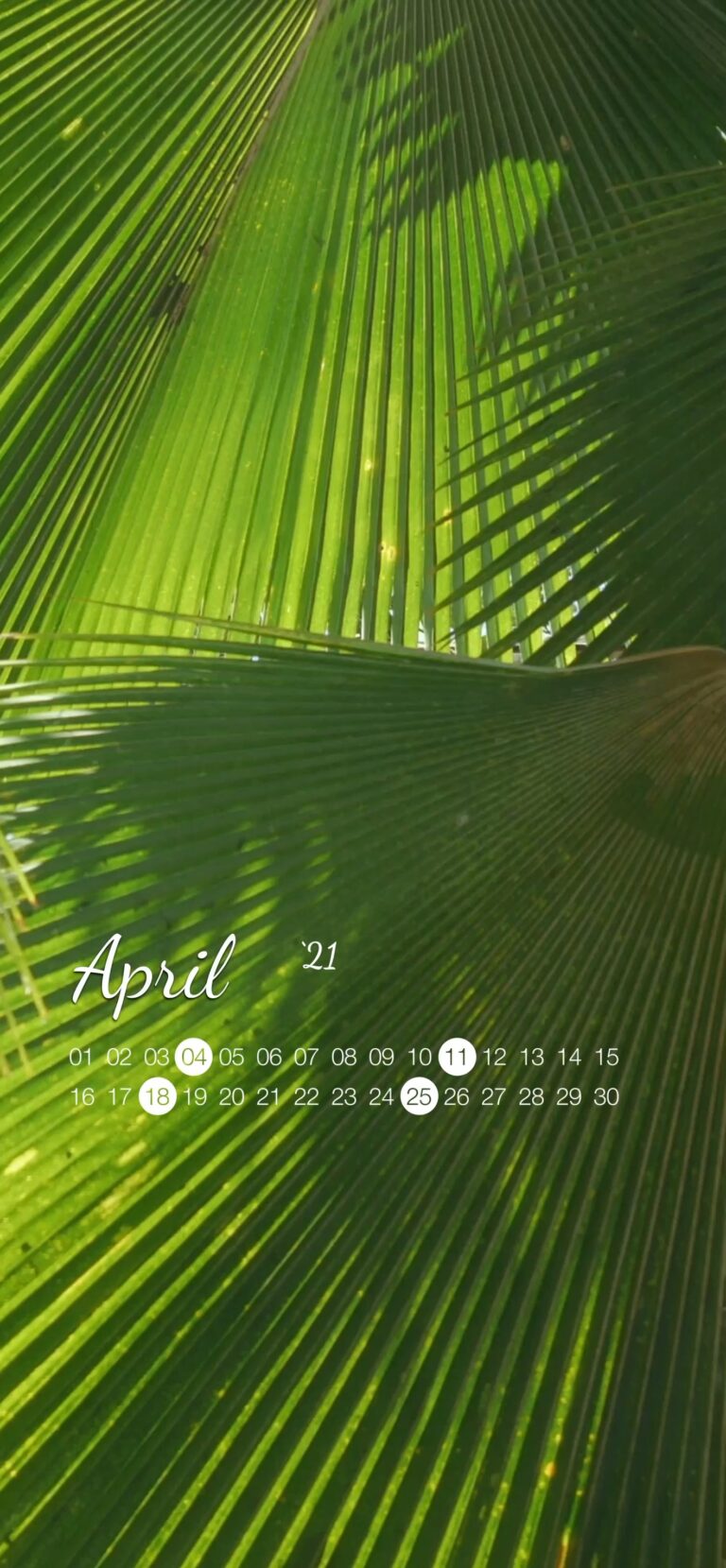 Default wallpaper of Calendar: April 2021 – #1 | LIVE Wallpaper