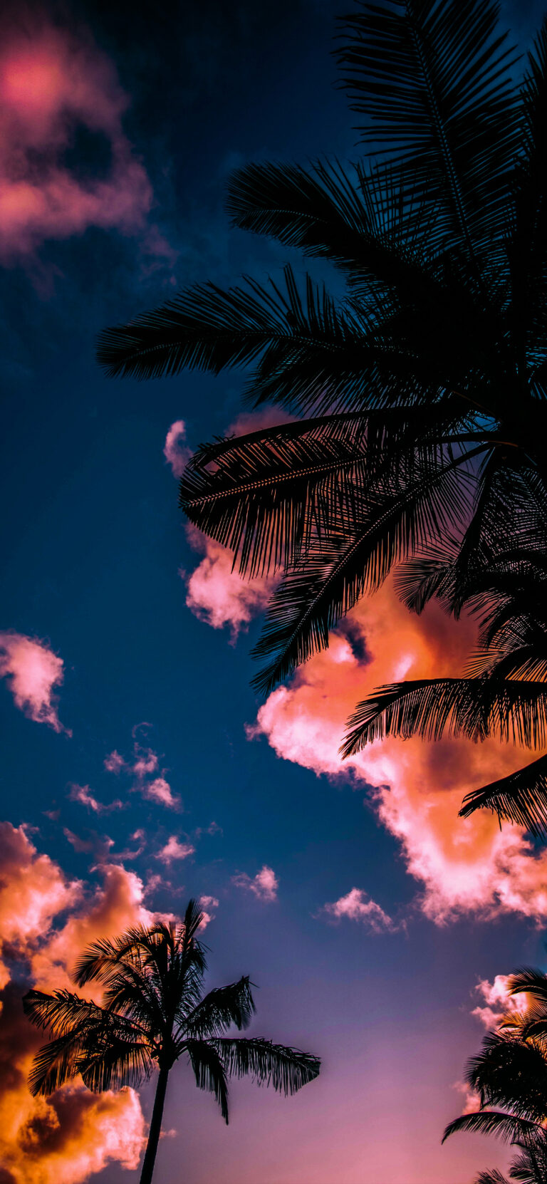 Default wallpaper of Miami