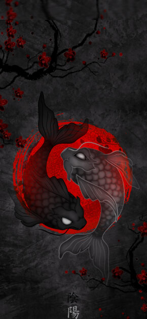 Yin Yang – Carpa koi