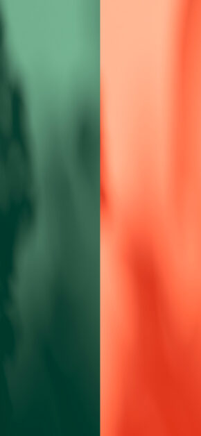Home Green and Red | DUAL