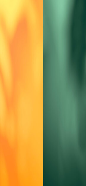 Home Yellow and Green | DUAL