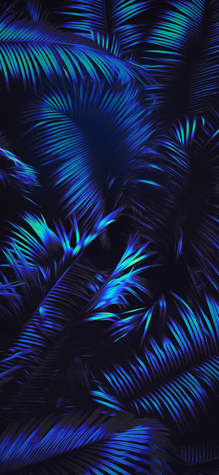 Default wallpaper of Nature Night