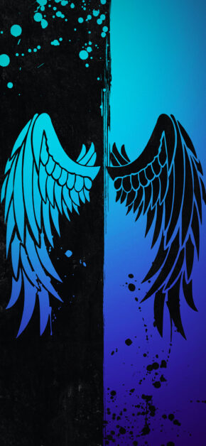 Angel | DUAL